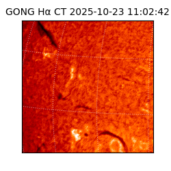 gong - 2025-10-23T11:02:42