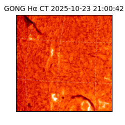 gong - 2025-10-23T21:00:42