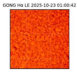 gong - 2025-10-23T01:00:42