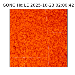 gong - 2025-10-23T02:00:42