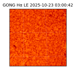 gong - 2025-10-23T03:00:42