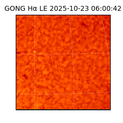 gong - 2025-10-23T06:00:42
