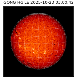 gong - 2025-10-23T03:00:42