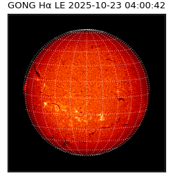 gong - 2025-10-23T04:00:42