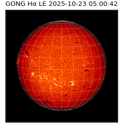 gong - 2025-10-23T05:00:42