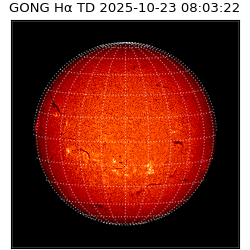 gong - 2025-10-23T08:03:22
