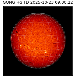 gong - 2025-10-23T09:00:22