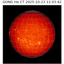 gong - 2025-10-23T12:03:42