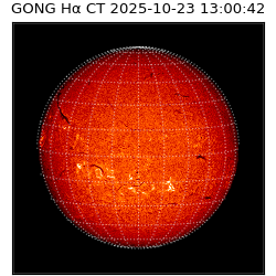 gong - 2025-10-23T13:00:42