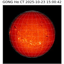 gong - 2025-10-23T15:00:42
