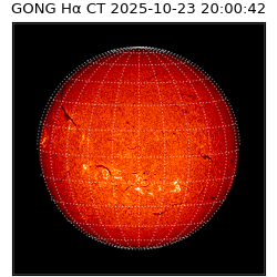 gong - 2025-10-23T20:00:42