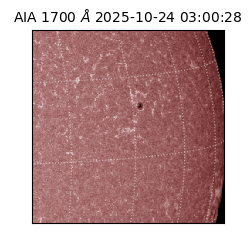 saia - 2025-10-24T03:00:28.717000