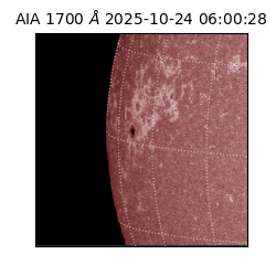 saia - 2025-10-24T06:00:28.717000