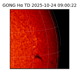 gong - 2025-10-24T09:00:22