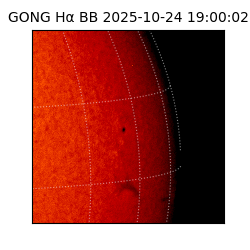 gong - 2025-10-24T19:00:02