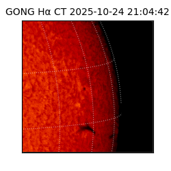 gong - 2025-10-24T21:04:42