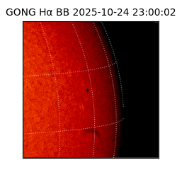 gong - 2025-10-24T23:00:02