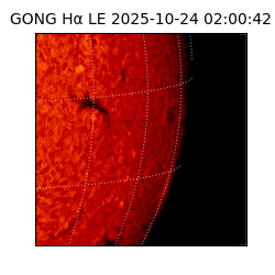 gong - 2025-10-24T02:00:42
