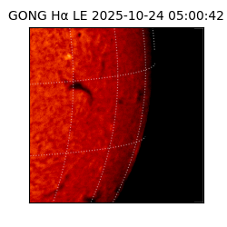 gong - 2025-10-24T05:00:42