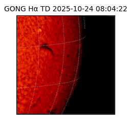 gong - 2025-10-24T08:04:22