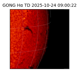 gong - 2025-10-24T09:00:22