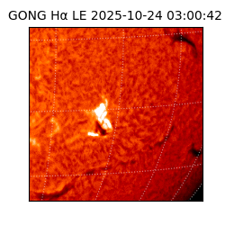 gong - 2025-10-24T03:00:42