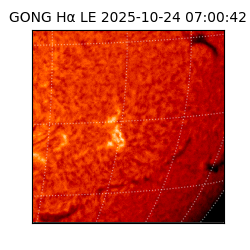 gong - 2025-10-24T07:00:42