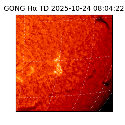 gong - 2025-10-24T08:04:22