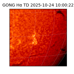 gong - 2025-10-24T10:00:22