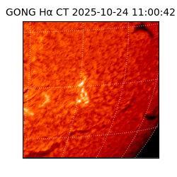 gong - 2025-10-24T11:00:42