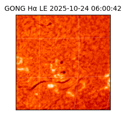 gong - 2025-10-24T06:00:42