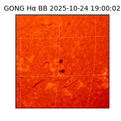 gong - 2025-10-24T19:00:02