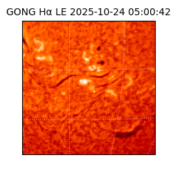 gong - 2025-10-24T05:00:42