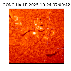 gong - 2025-10-24T07:00:42