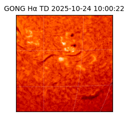gong - 2025-10-24T10:00:22