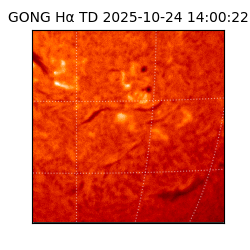 gong - 2025-10-24T14:00:22
