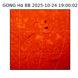 gong - 2025-10-24T19:00:02