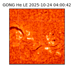 gong - 2025-10-24T04:00:42