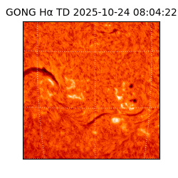 gong - 2025-10-24T08:04:22