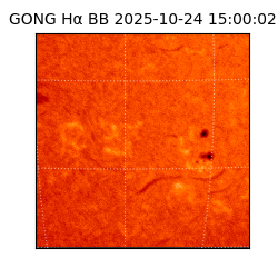 gong - 2025-10-24T15:00:02