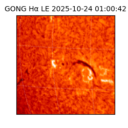 gong - 2025-10-24T01:00:42