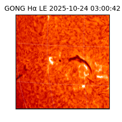 gong - 2025-10-24T03:00:42