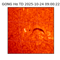 gong - 2025-10-24T09:00:22