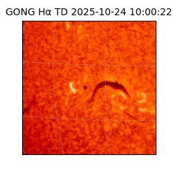 gong - 2025-10-24T10:00:22