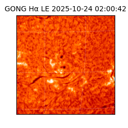 gong - 2025-10-24T02:00:42