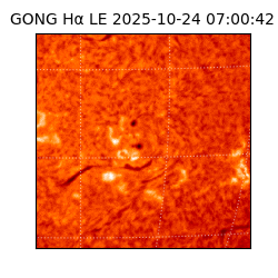 gong - 2025-10-24T07:00:42