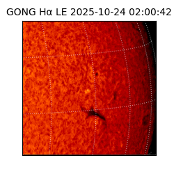 gong - 2025-10-24T02:00:42