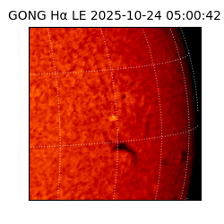 gong - 2025-10-24T05:00:42