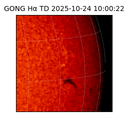 gong - 2025-10-24T10:00:22