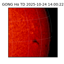 gong - 2025-10-24T14:00:22